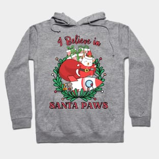 I BELIEVE IN SANTA PAWS Hoodie